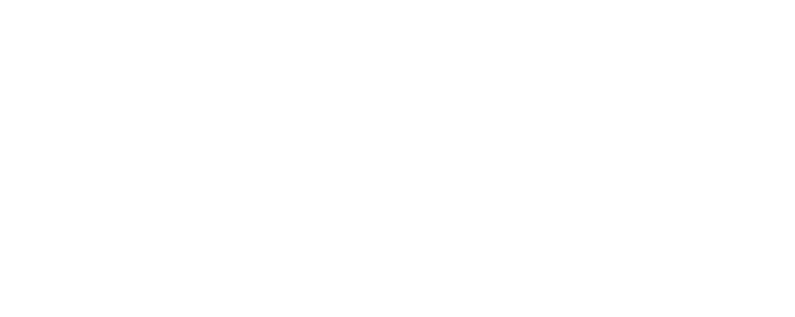 Leinster Roofing White Logo